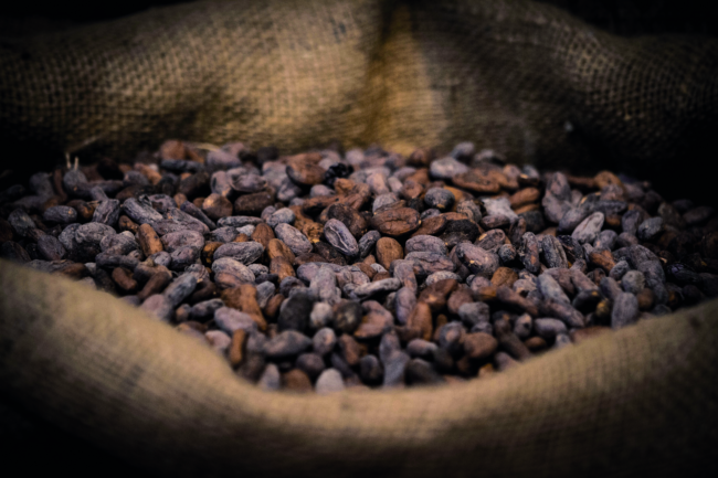 Cluizel-feves-cacao-min