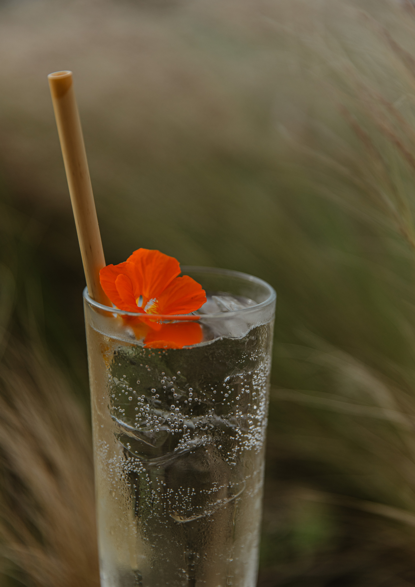 Cocktail-Bar-La-Butte