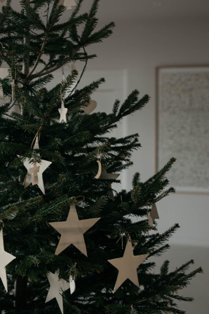 Sapin-fêtes-La-Butte