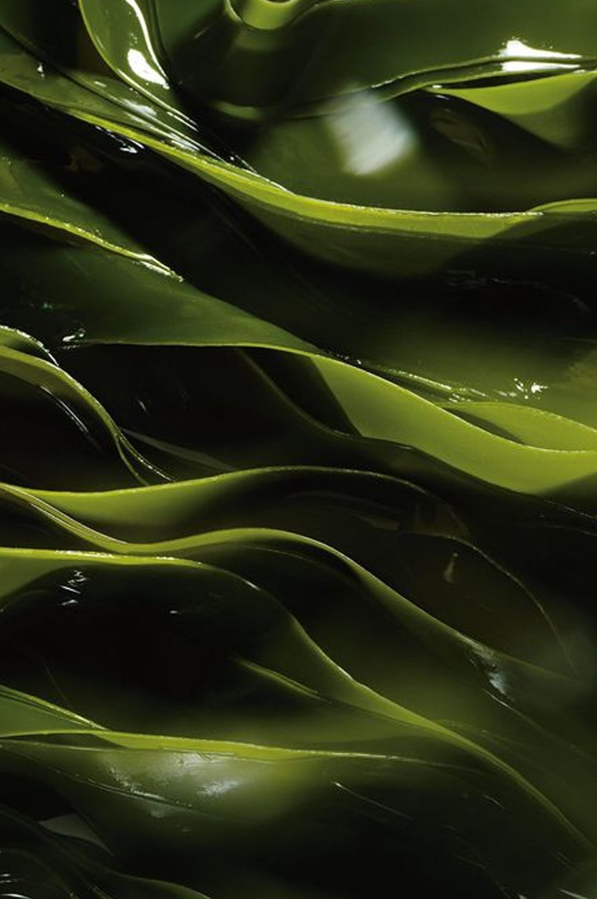 soin-algues-la-butte-finistere